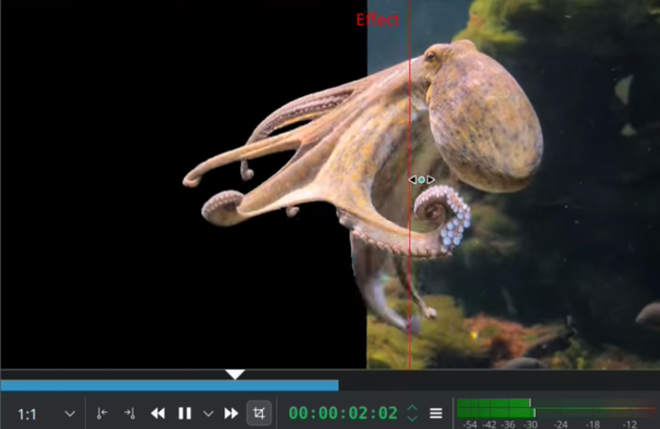 Screenshot eines Demo-Videos, wo ein Oktopus automatisch vom Hintergrund freigestellt wird.