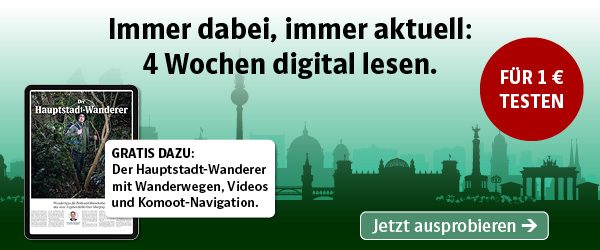 Banner Berliner Morgenpost