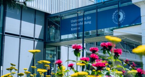 Blumenwiese am Campus