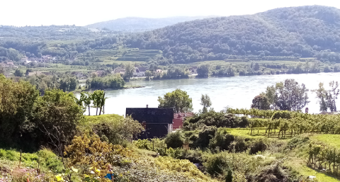 Bild zeigt Naturlandschaft im Donauraum