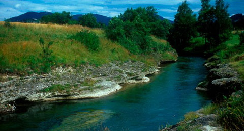 Bild zeigt Naturlandschaft im Donauraum