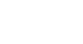 FLiP Logo