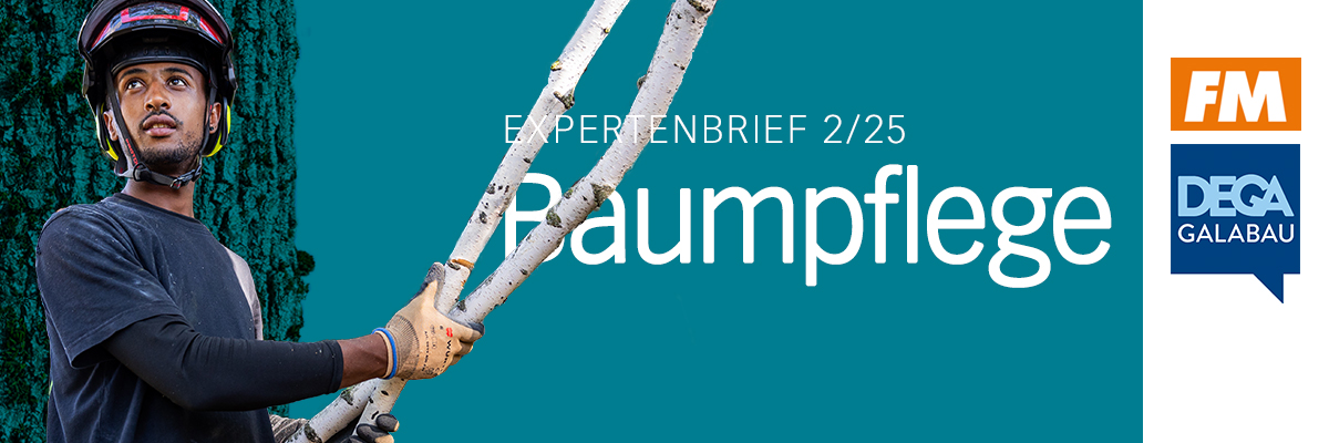 Header  Expertenbrief Baumpflege