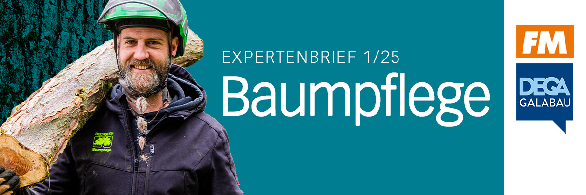 Header  Expertenbrief Baumpflege