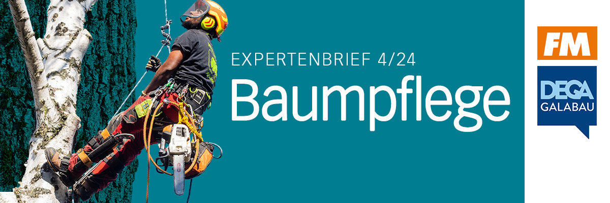 Header  Expertenbrief Baumpflege