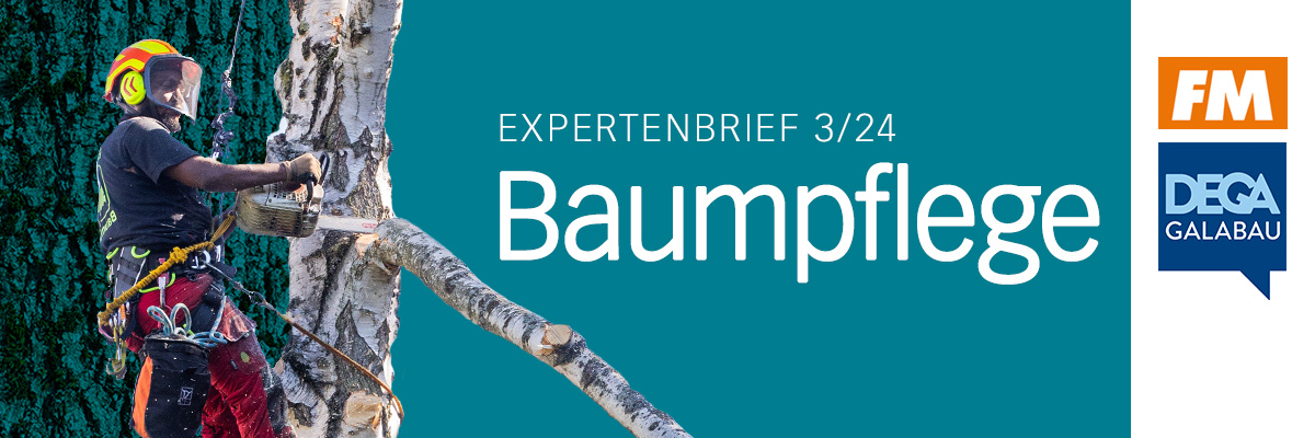 Header  Expertenbrief Baumpflege