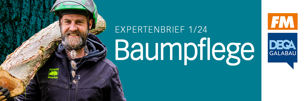 Header  Expertenbrief Baumpflege