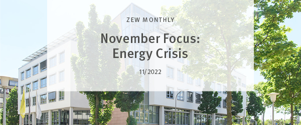 ZEW Monthly November 2022 with a Focus on Energy Crisis