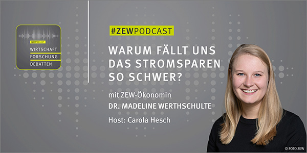 Podcast zu "Warum fällt uns das Stromsparen so schwer"