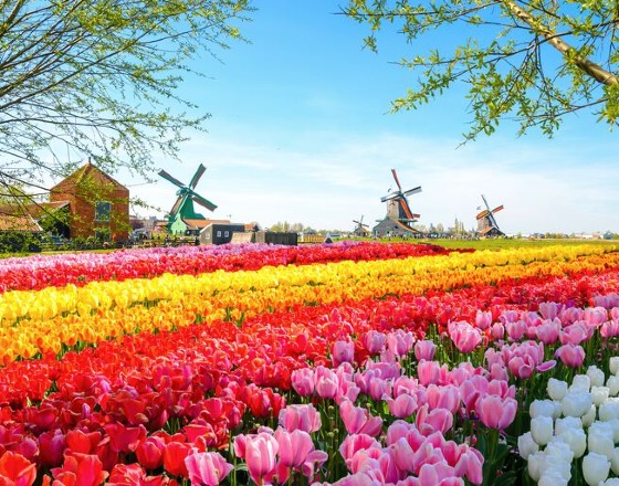 Kurztrip nach Holland