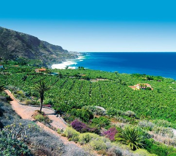 Teneriffa Urlaub
