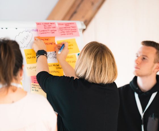Evergreen: Innovationsmanager*in