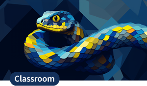 Illustration zum Classroom Machine Learning mit Python