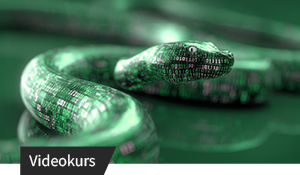 Abstrakte Darstellung einer Python-Schlange