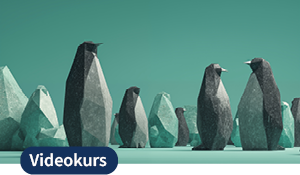 Symbolbild für den Videokurs „Rocky Linux – Teil 2: Dein Weg zum Linux System Engineer“
