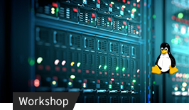 Server-Rack mit blinkenden LEDs und Linux-Tux-Maskottchen