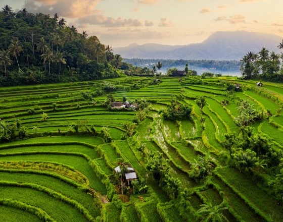 Bali Urlaub mit FTI  buchen