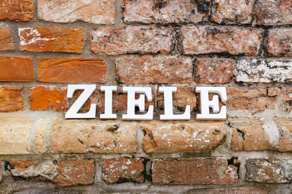 An einer terracottafarbenen Ziegelsteinwand stehen weiße Buchstaben und formen das Wort ZIELE.