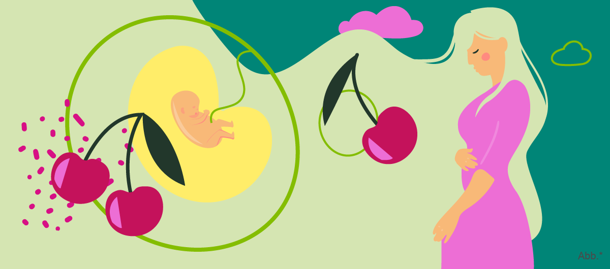 Illustration einer Schwangeren, die ihre Hand auf ihren Bauch legt und eines Embryos in der Gebärmutter. Kirschen zeigen, dass der Embryo die Größe einer Kirsche hat.